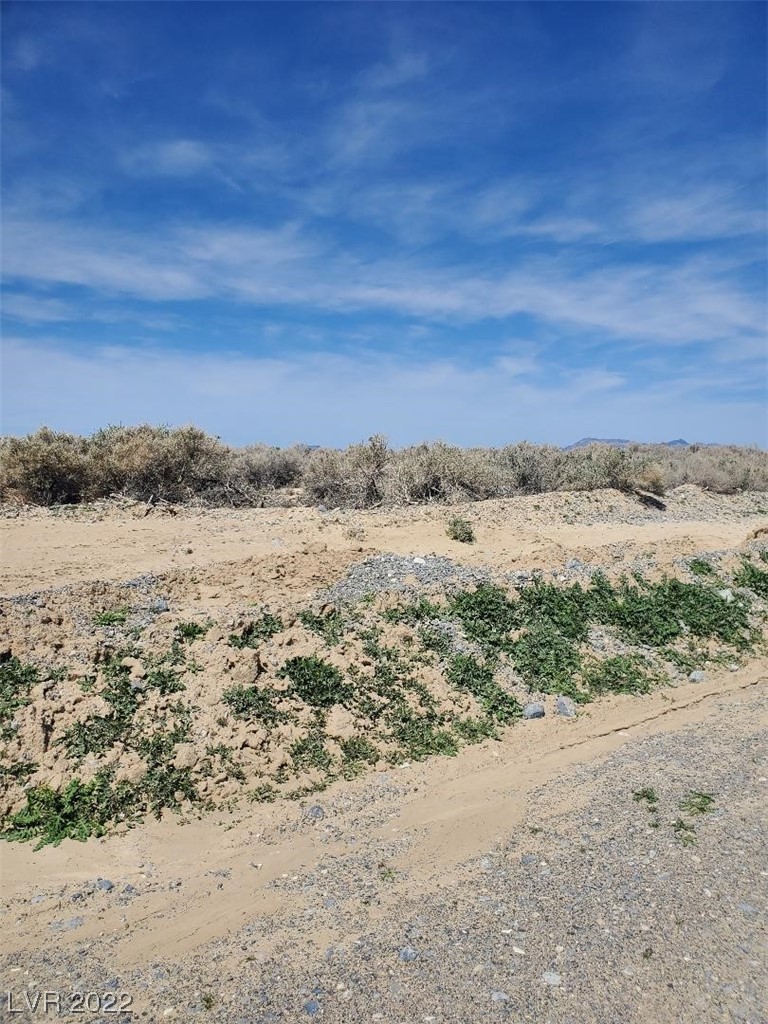 3981 S Kid Avenue, Pahrump 89048