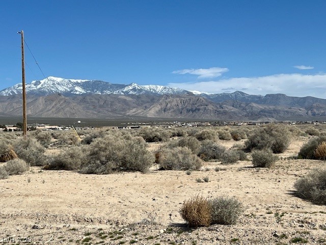 1390 E Elko Street, Pahrump 89048