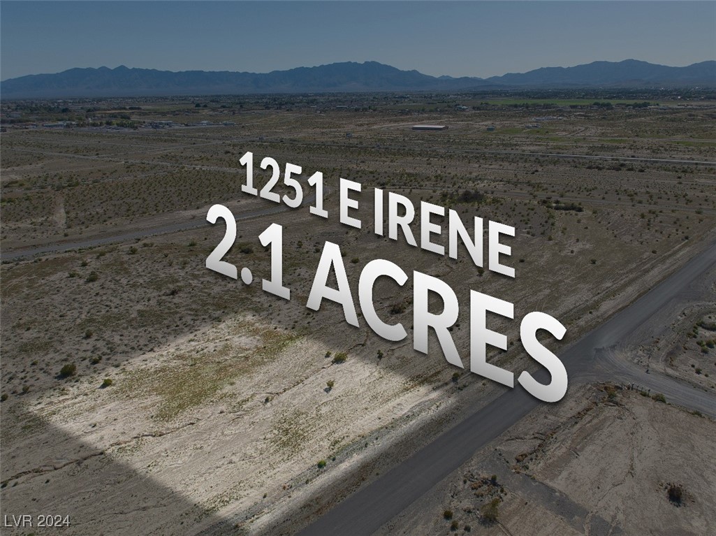 1251 E Irene Street, Pahrump 89060