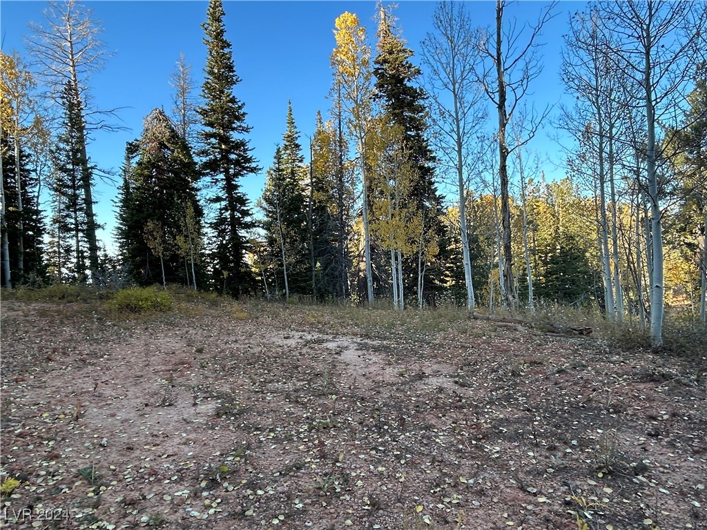 Photo 4 of 660 W Ski View Drive