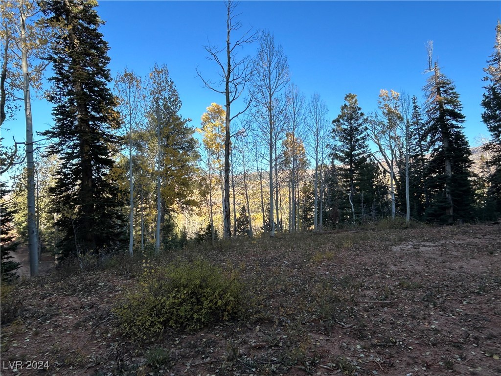 Photo 6 of 11, 660 W Ski View Drive