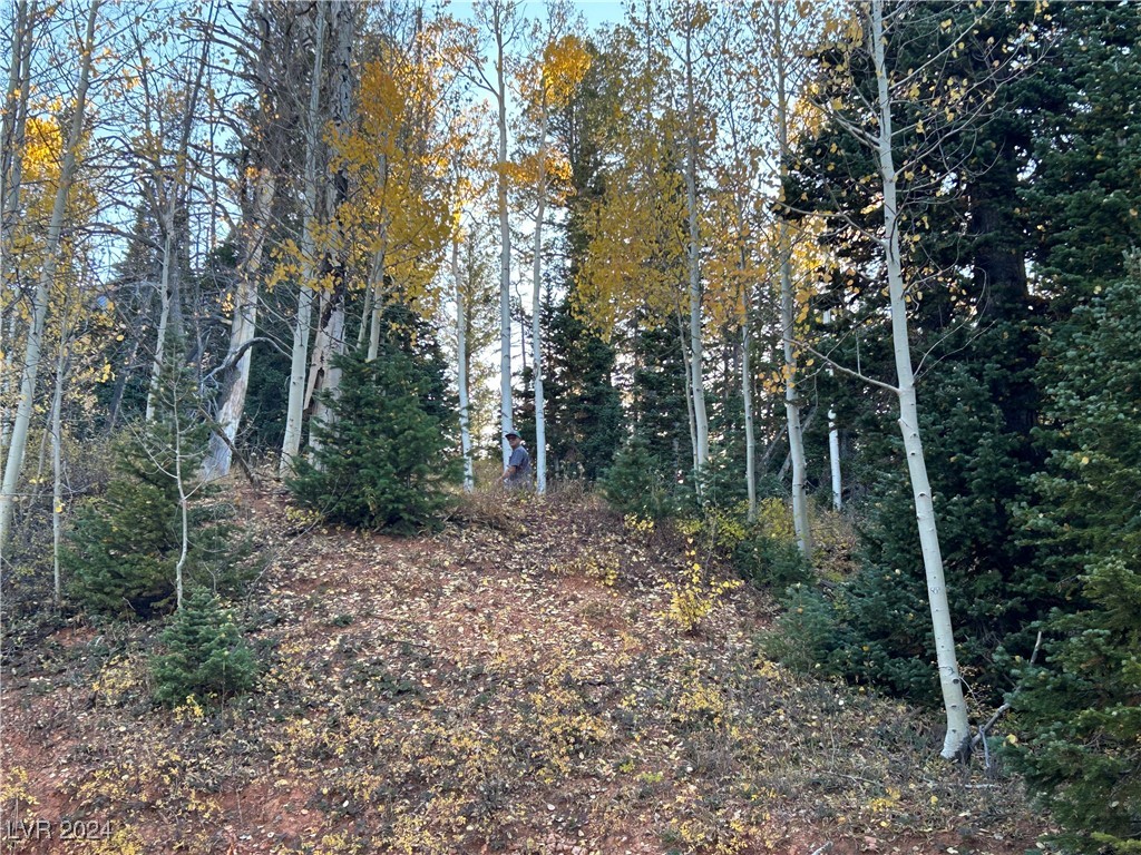 Photo 7 of 11, 660 W Ski View Drive