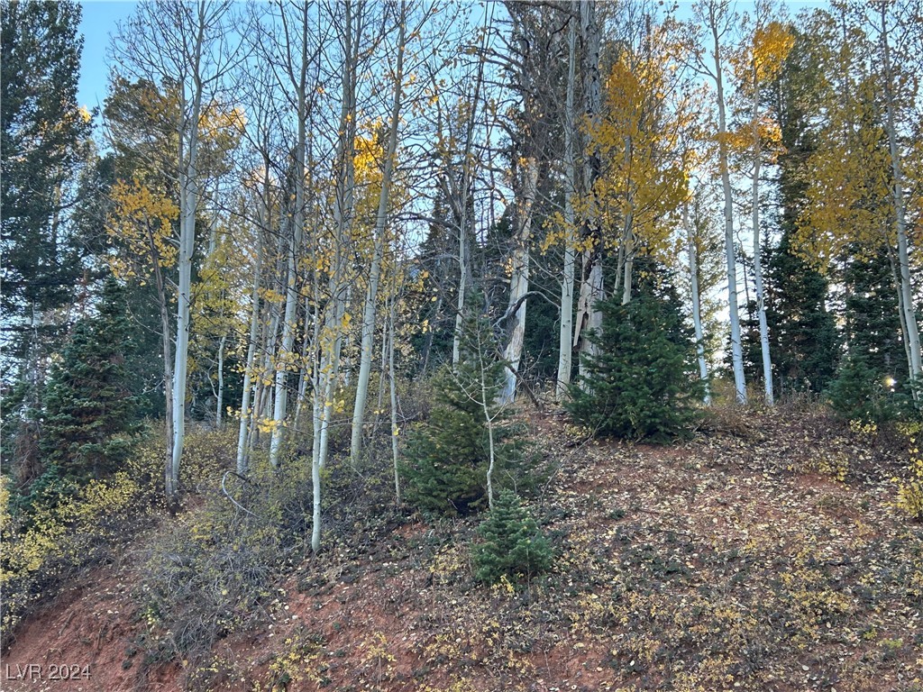 Photo 8 of 11, 660 W Ski View Drive