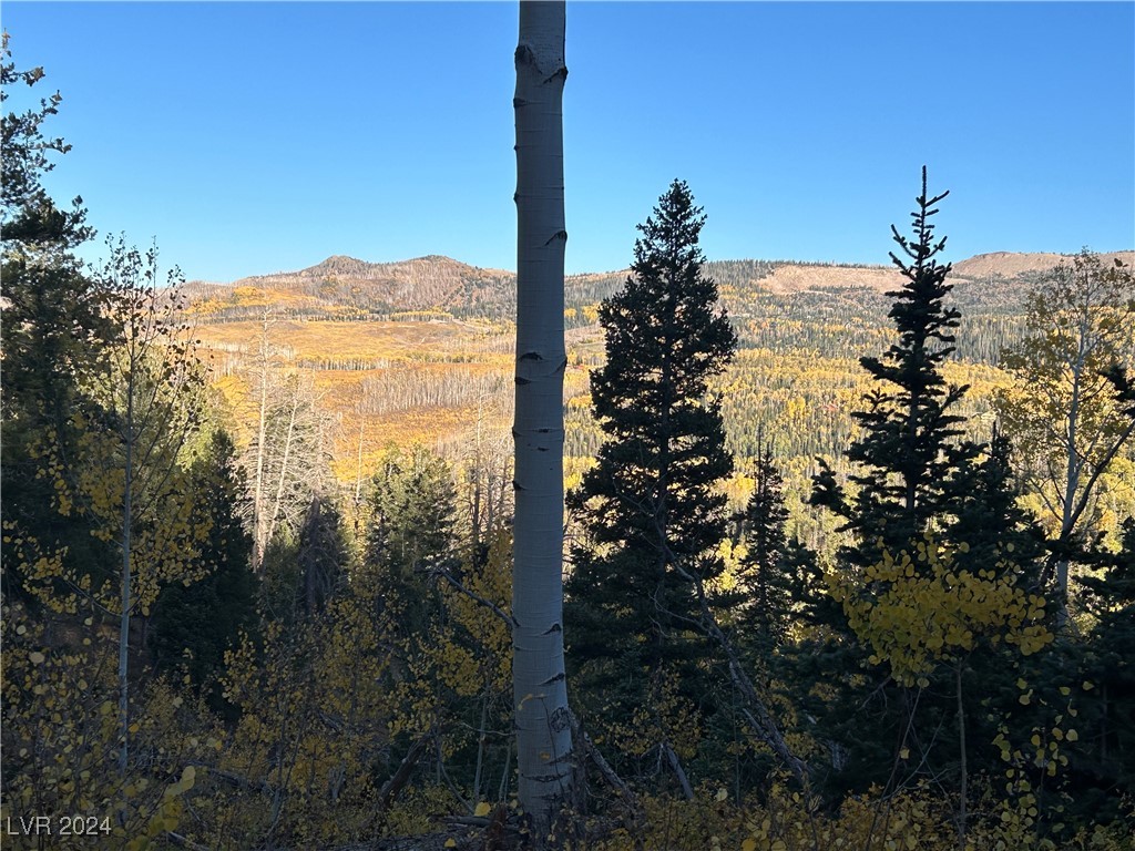 Photo 9 of 11, 660 W Ski View Drive