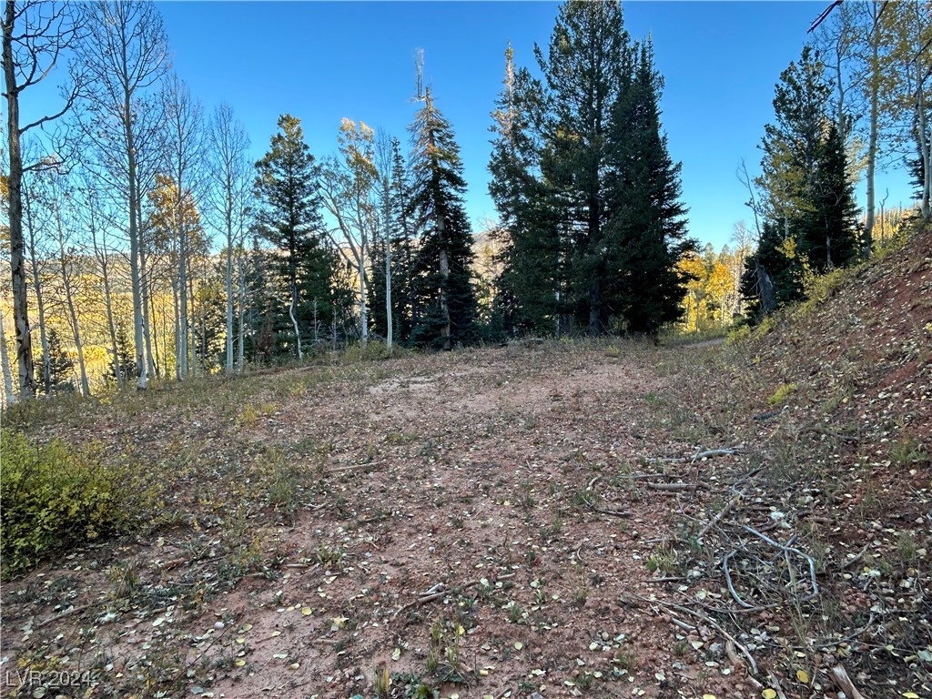 Photo 10 of 11, 660 W Ski View Drive
