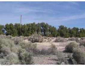 1661 E Antelope Street, Pahrump 89048