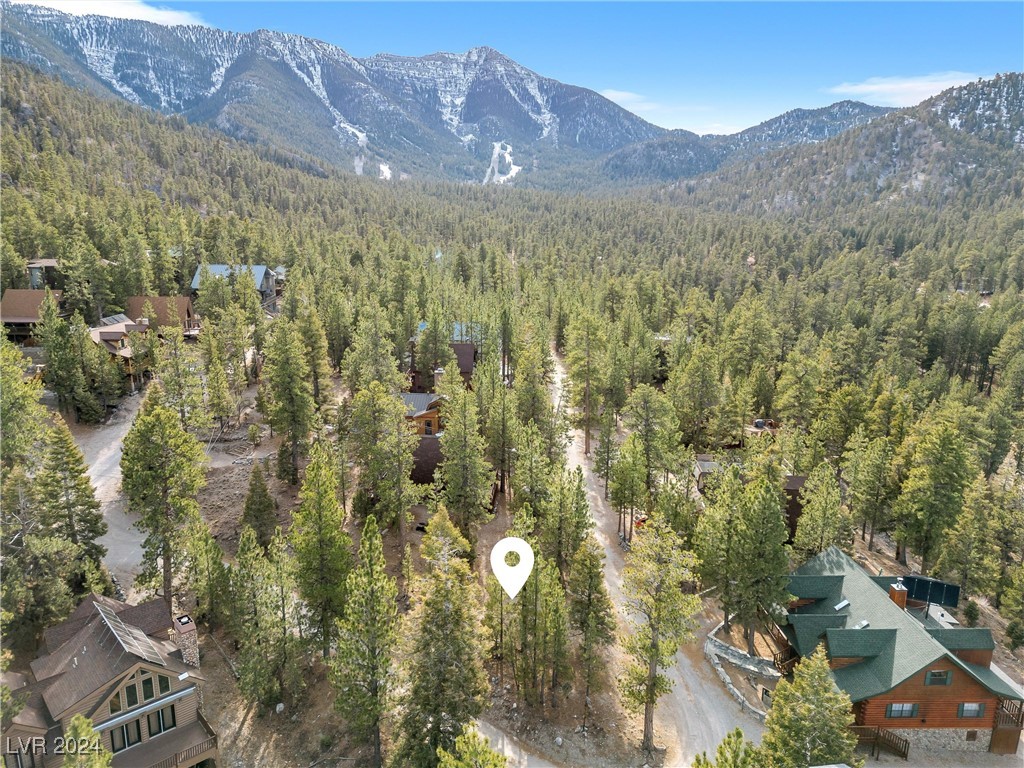 2194 Via Spes Nostra Street, Mount Charleston 89124