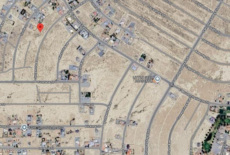 2510 S Sycamore Avenue, Pahrump