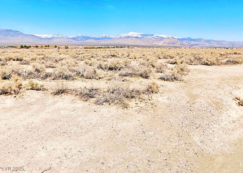 1090 E Idaho Street, Pahrump 89048