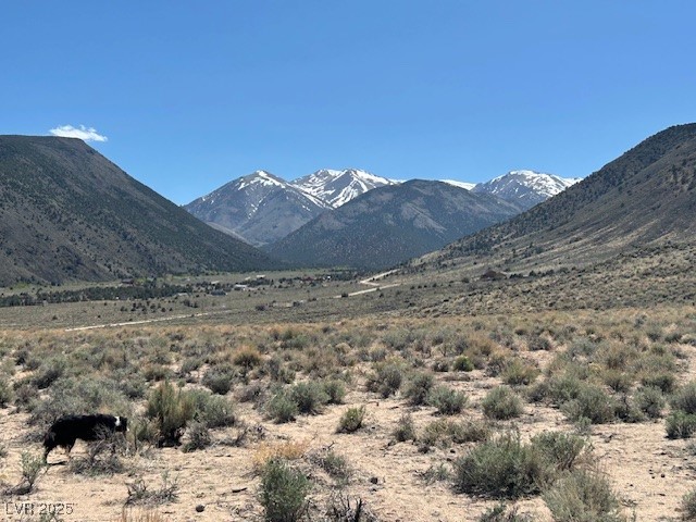 Photo 5 of 1330 WILD HORSE RUN