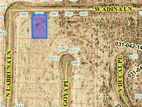 1861 W Adina Lane, Pahrump 89060