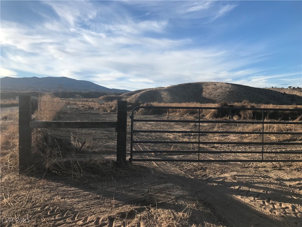 Quarter Horse, Caliente 89008