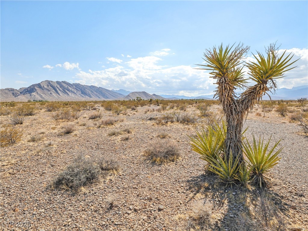 Pringle, Las Vegas 89166