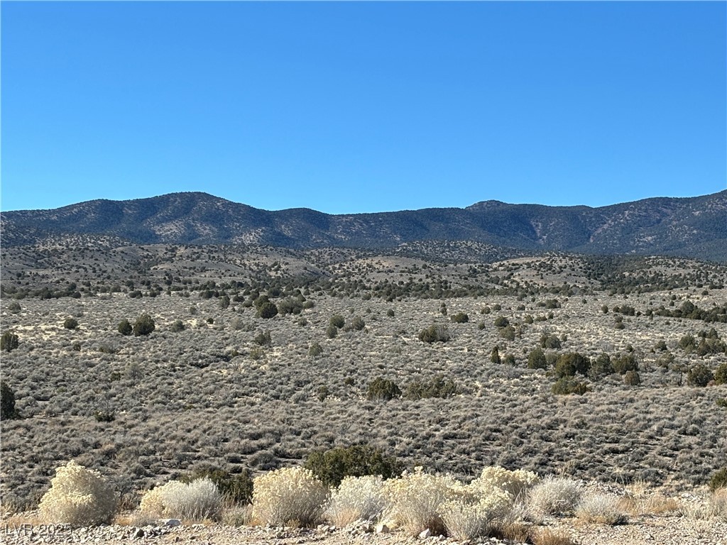 Mabel Trail, Caliente 89008