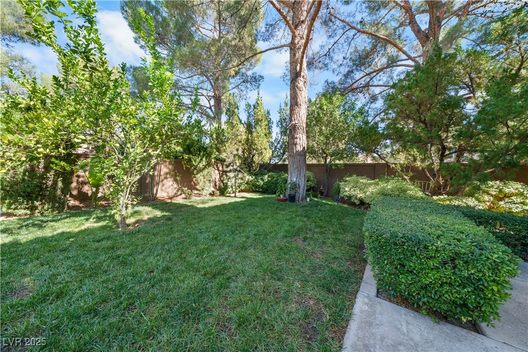 Photo 46 of 48, 7960 Bermuda Dunes Avenue