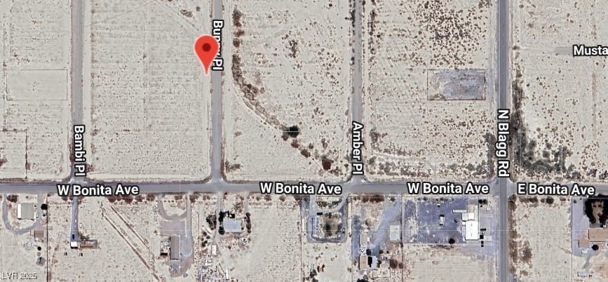 2810 N Bunny Place, Pahrump