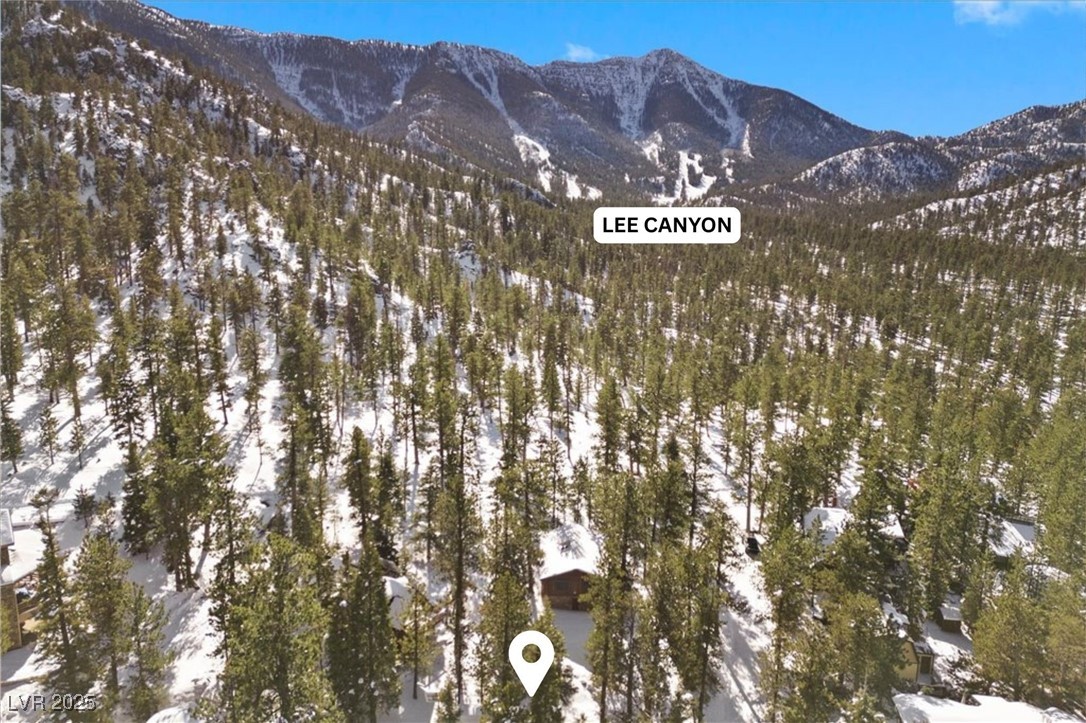 2130 Via Vita Street, Mount Charleston 89124