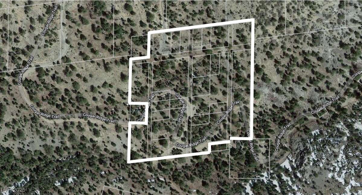 4085 Cougar Ridge Trail, Mount Charleston