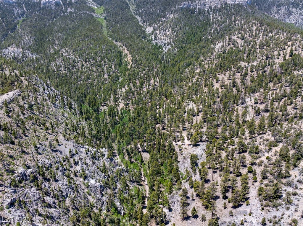 Photo 5 of 4085 Cougar Ridge Trail