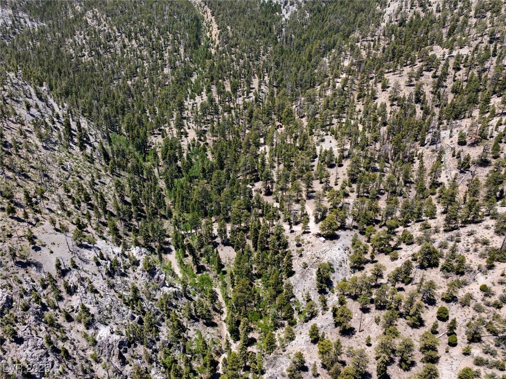 Photo 7 of 63, 4085 Cougar Ridge Trail