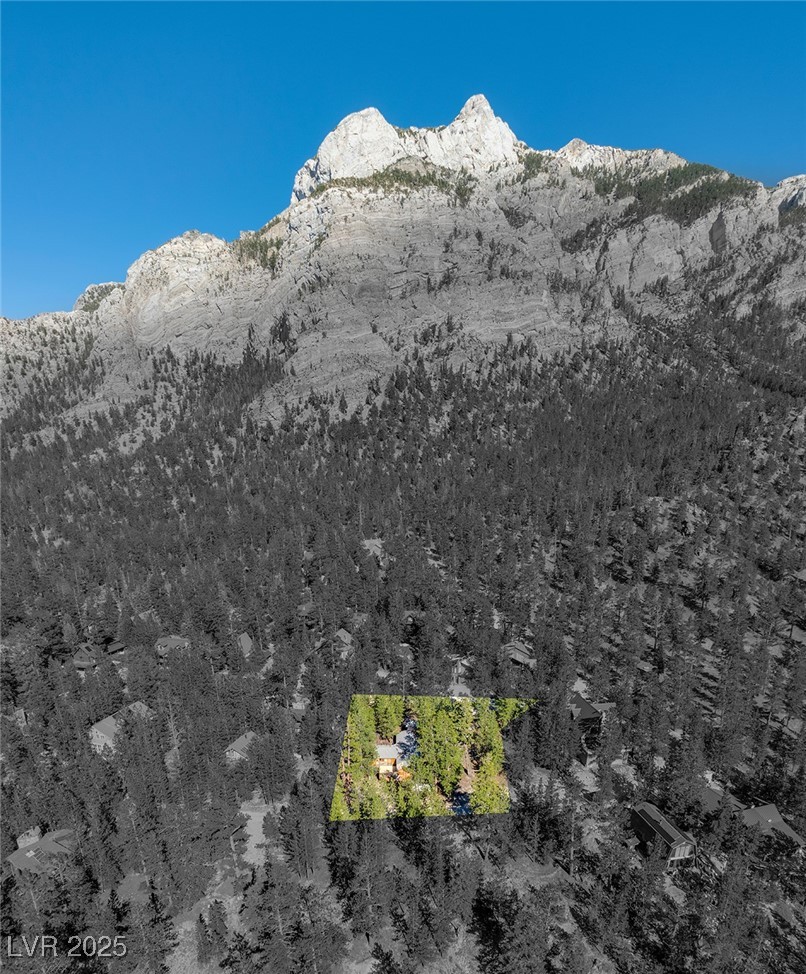 2130 Via Spes Nostra Street, Mount Charleston 89124