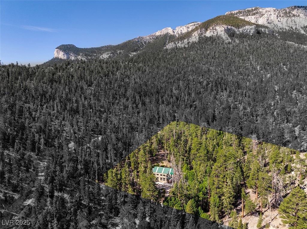 APN 128-07-201-017 N Fork Deer Creek, Mount Charleston 89124
