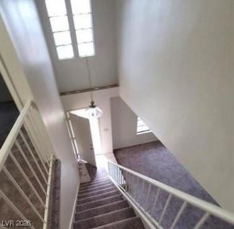 Photo 19 of 28, 2813 Cacto Court