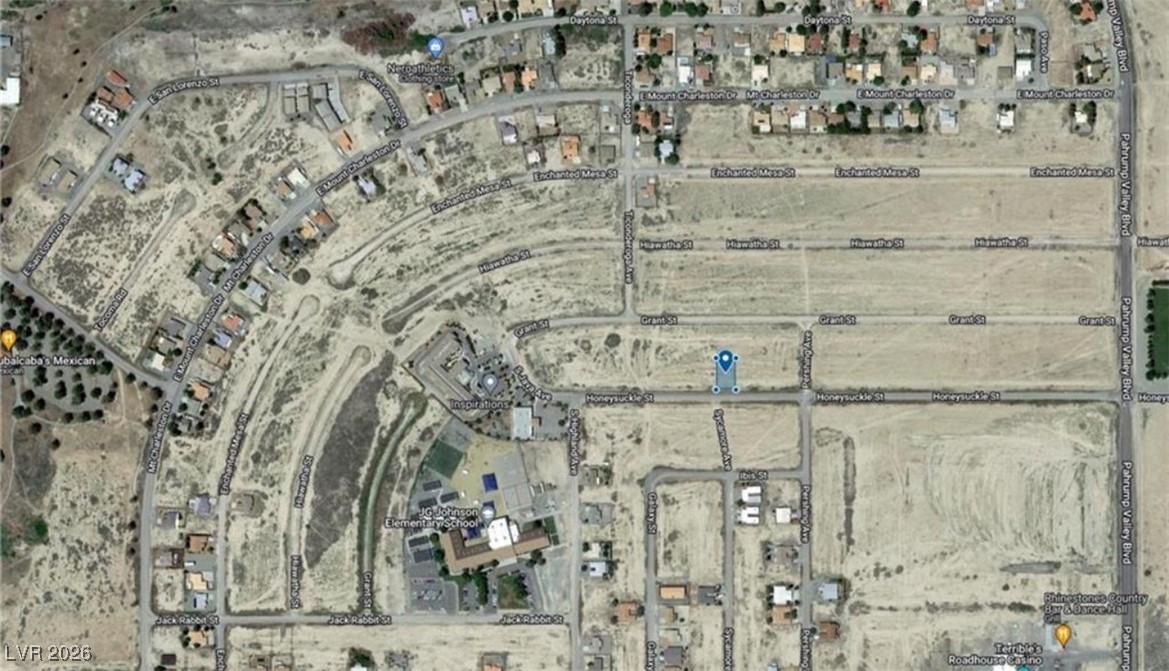 1110 E Honeysuckle Street, Pahrump 89048