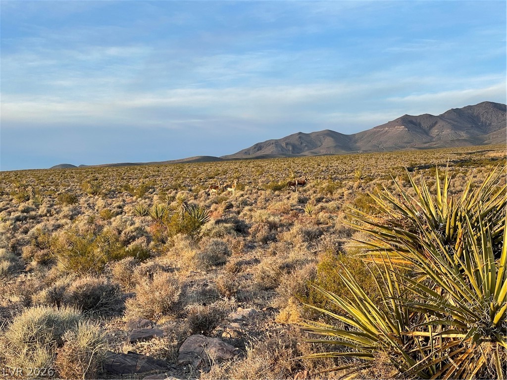 12470 N Blagg Road, Pahrump 89060