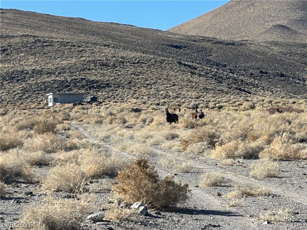 Photo 4 of 0 SAND SPRINGS Road