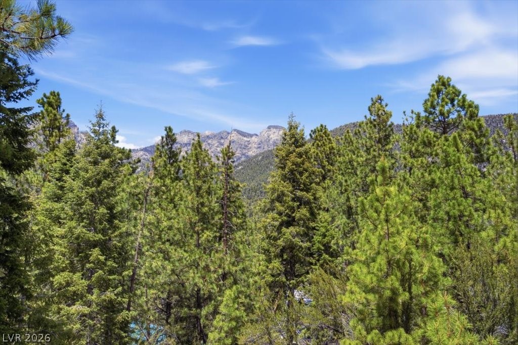 3953 Ski Trail Circle, Mount Charleston 89124