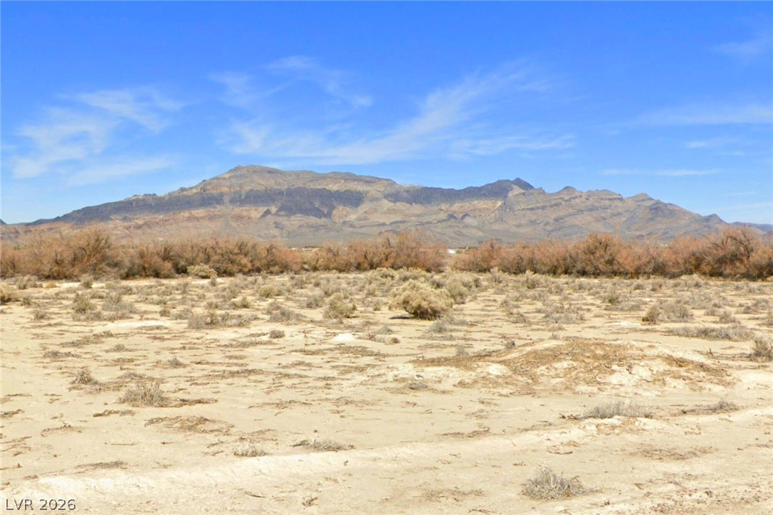 2840 N Decatur Avenue, Pahrump 89060