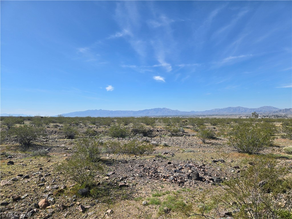 2301 E Saddleback Drive, Pahrump 89060