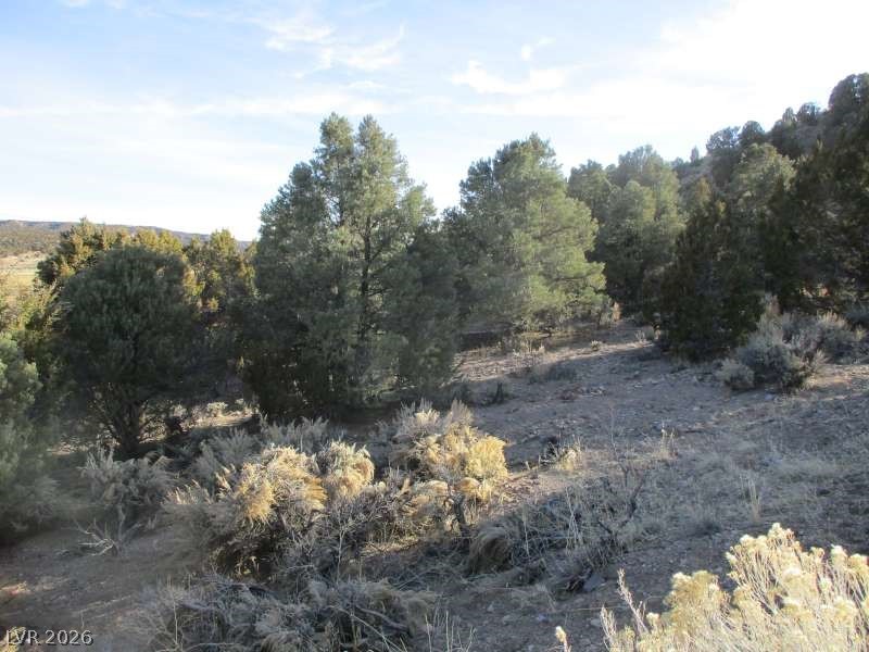Photo 8 of 13, NV Hwy 322 (30.15 Ac)