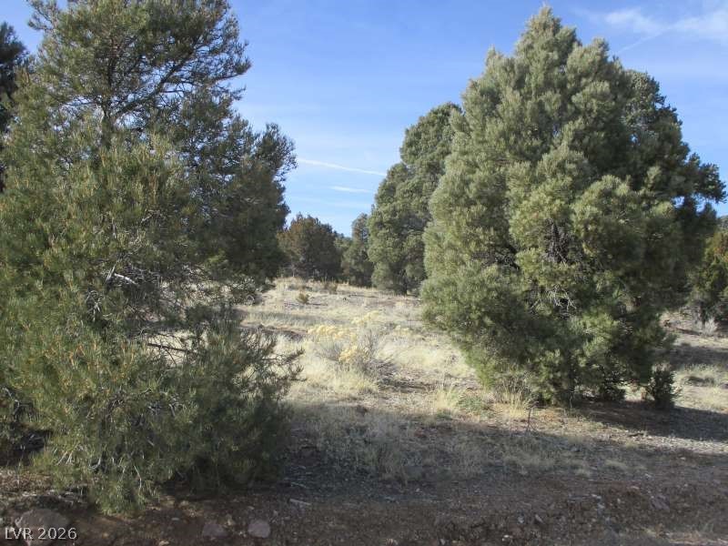 NV Hwy 322 (13.753 Ac), Pioche 89043