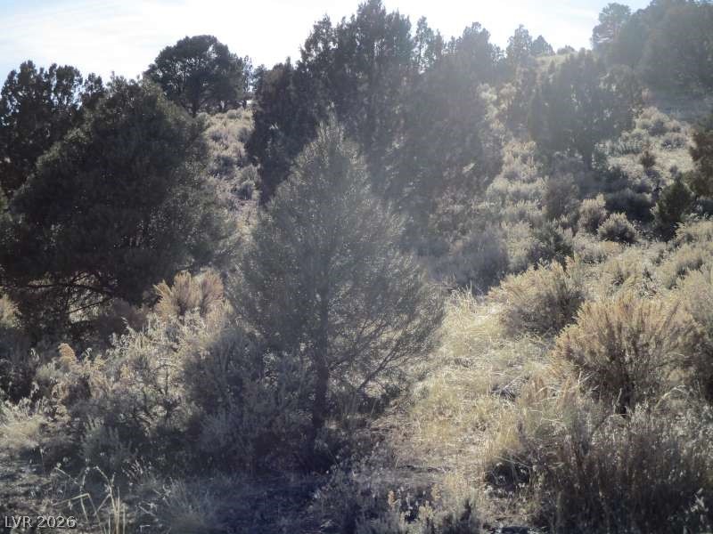 Photo 7 of 10, NV Hwy 322 (10.012 Ac)
