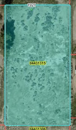 1921 E Dollar Street, Pahrump 89048