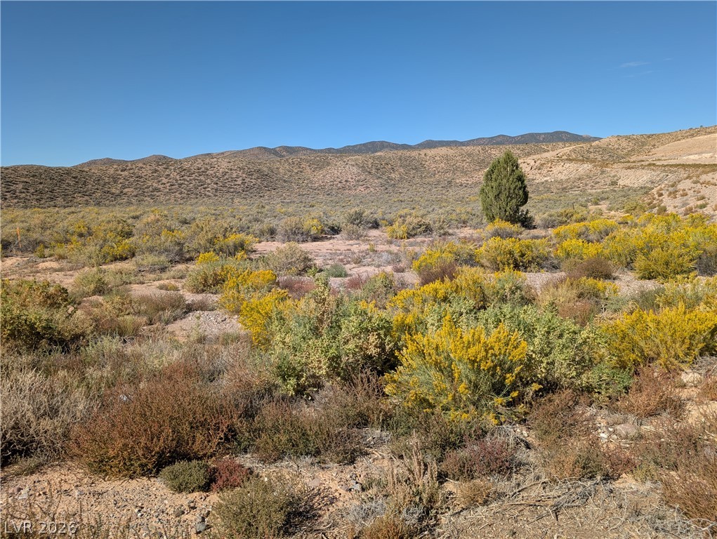 US Hwy 93 (25 Acres), Caliente 89008