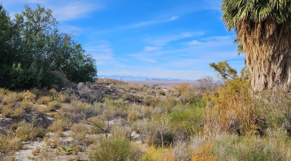 Photo 4 of Gold Butte Road