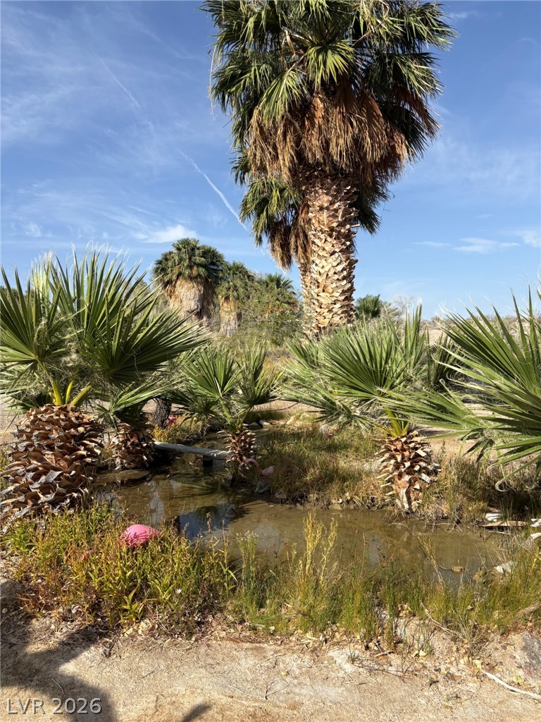 Gold Butte Road, Other 89007
