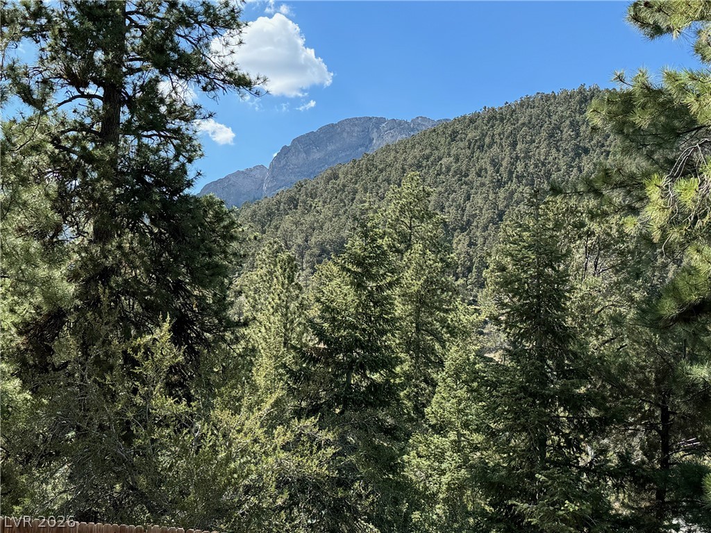 4028 Mont Blanc Way, Mount Charleston 89124