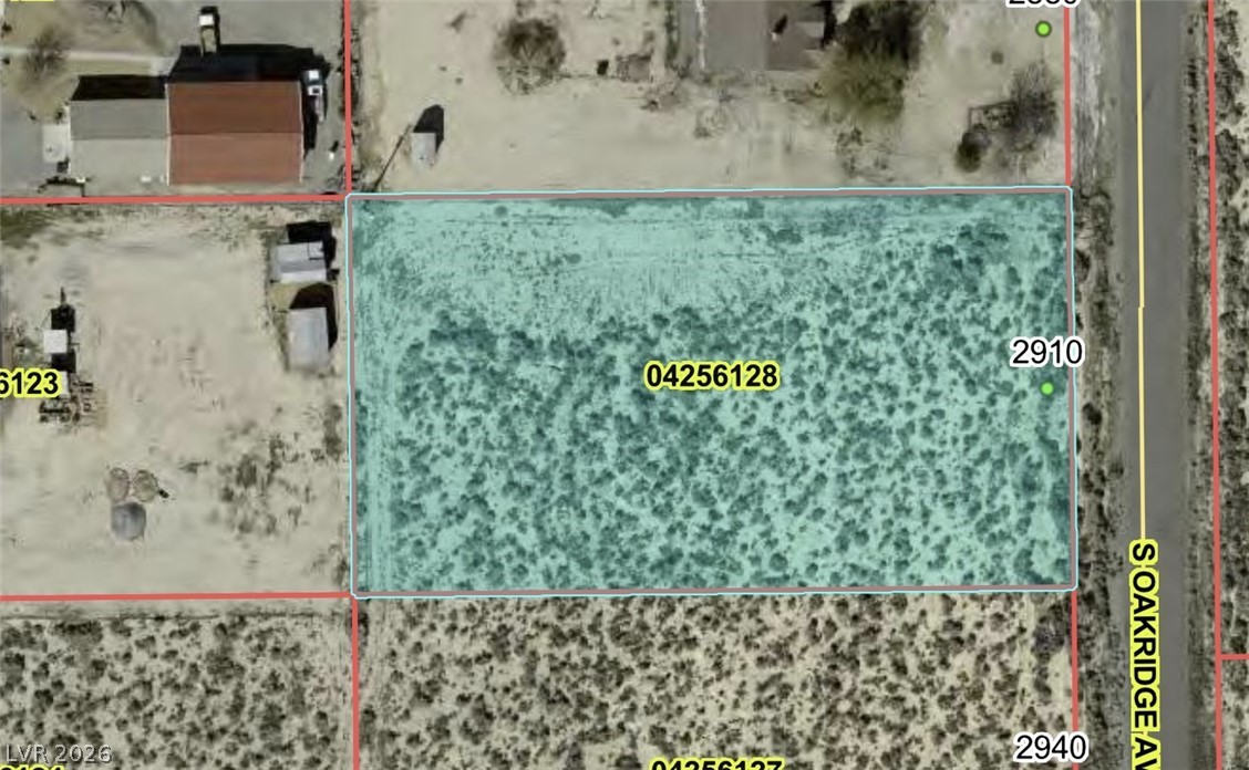2910 Oakridge Avenue, Pahrump 89048