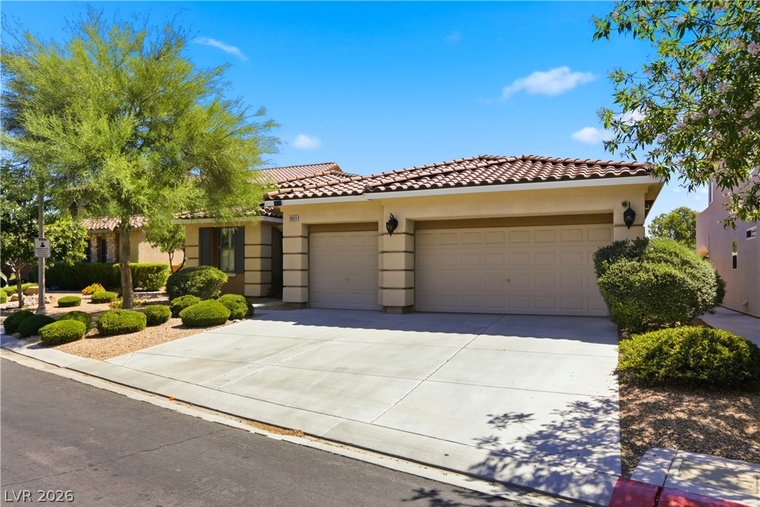 Photo 3 of 10024 Wild Calla Street