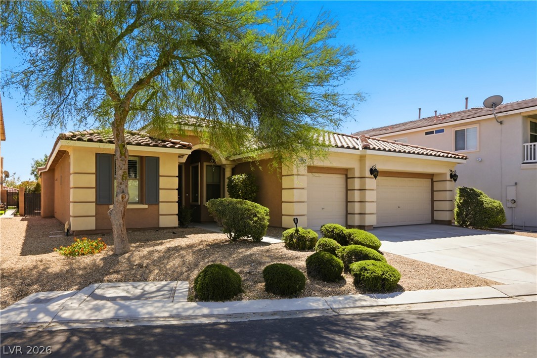 Photo 4 of 10024 Wild Calla Street