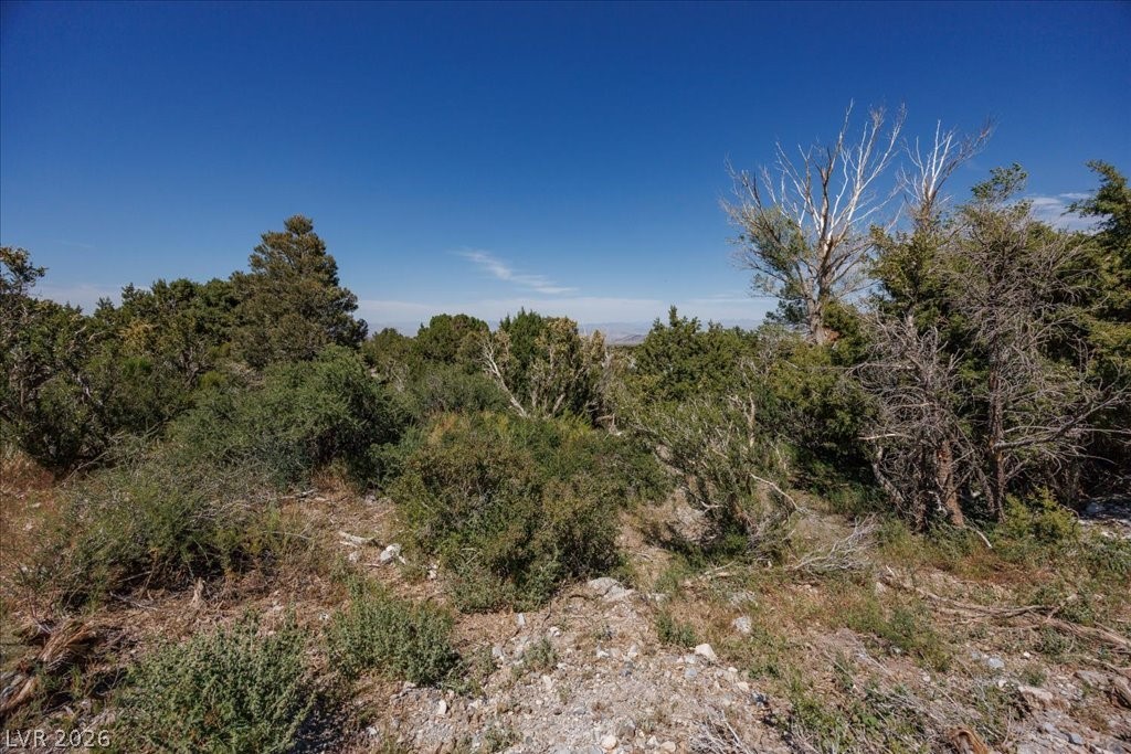 Photo 4 of Sir Turner Drive APN#095-01-711-034