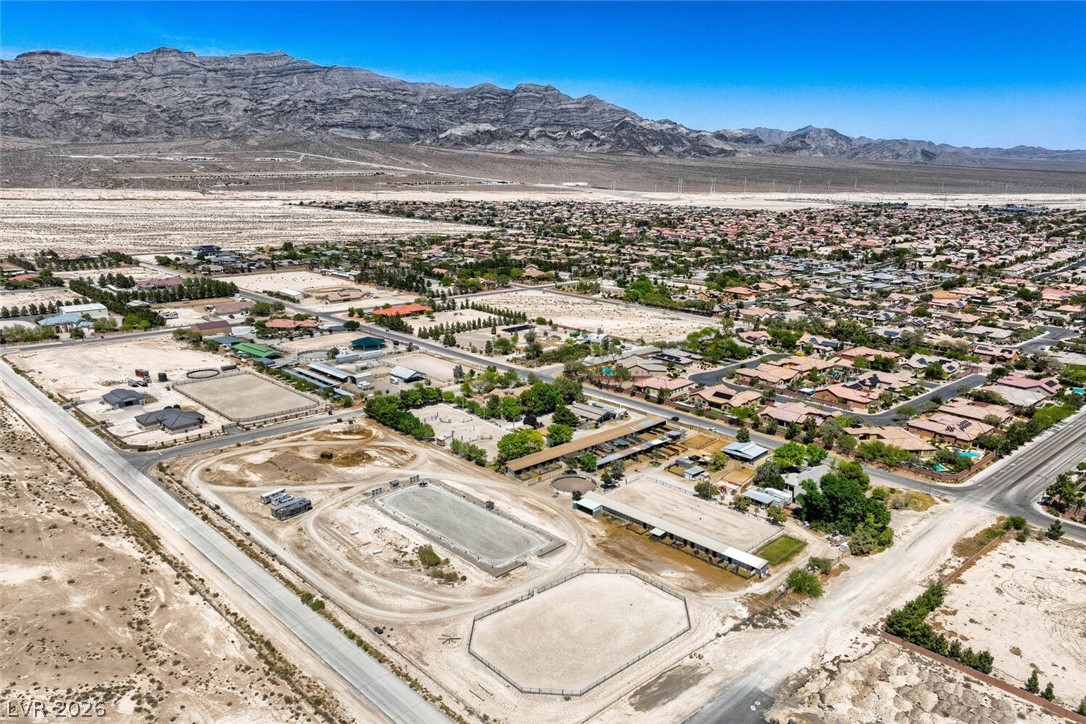 2 Acres Horse & Torrey Pines, Las Vegas