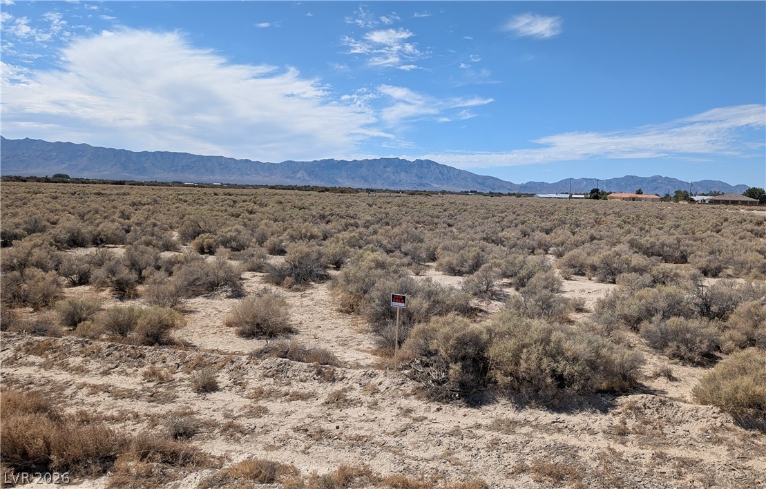3950 S Kid Avenue, Pahrump