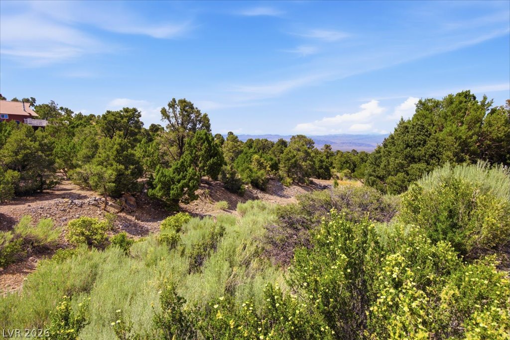 155 Oak Trail Circle, Cold Creek 89124