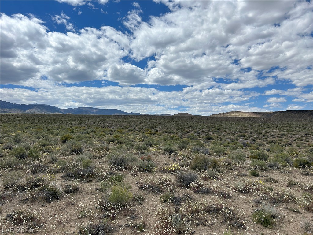 510 GILLUM Lane, Dyer 89010