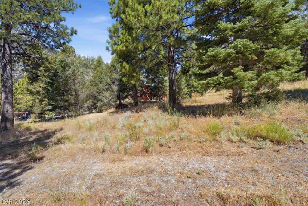 Photo 5 of 248 Crestview Drive